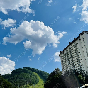 용평리조트~그린피아~타워~베르데힐숙박 루지 마운티코스터 케이블카 딥다이브​