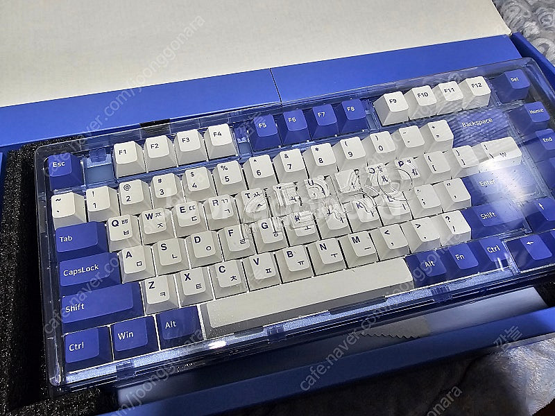 앱코 ag75 블루 갈축--0