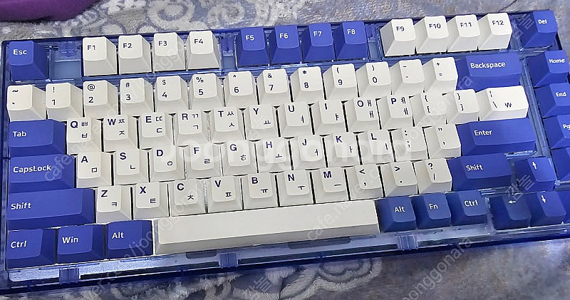 앱코 ag75 블루 갈축--5