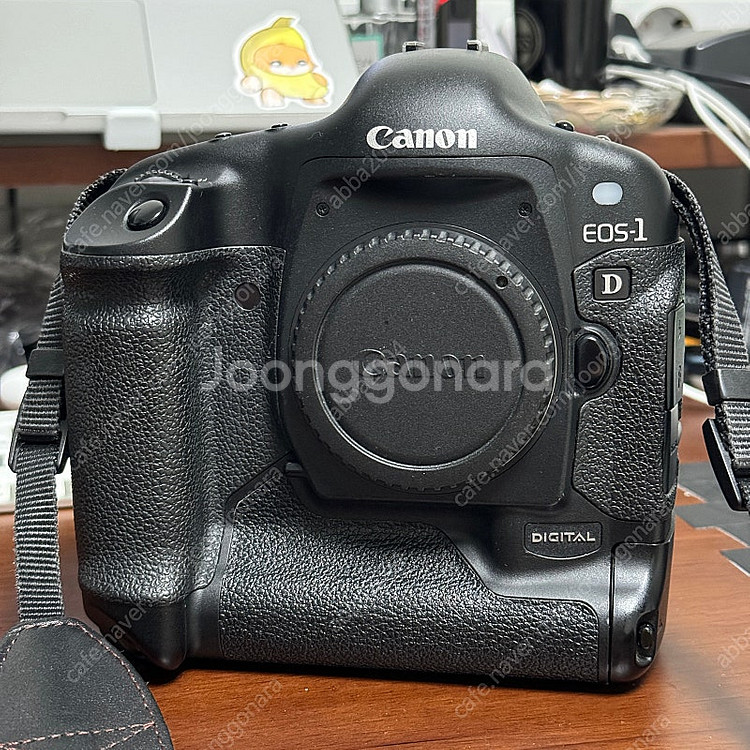 캐논 왕디 판매합니다 eos1d 판매--0
