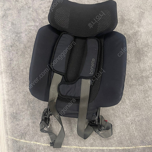 포브 보네떼 카시트