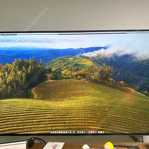 양주 LG OLED 48C1ENB 팝니다