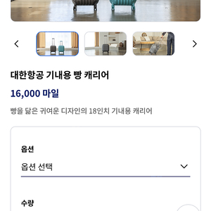 대한항공 18인치 빵캐리어 판매합니다(색상 선택 가능)