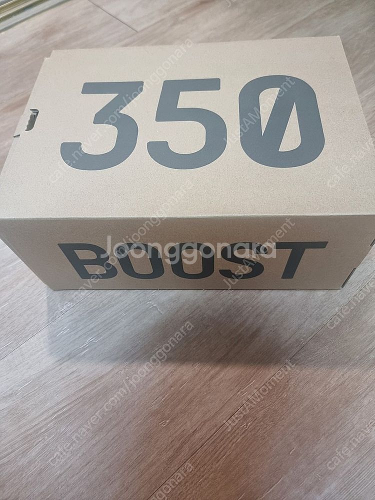 아디다스 이지부스트 350v2 카본벨루가--2