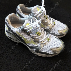 MIZUNO\ Wave Rader \ Lime,Silver \240mm