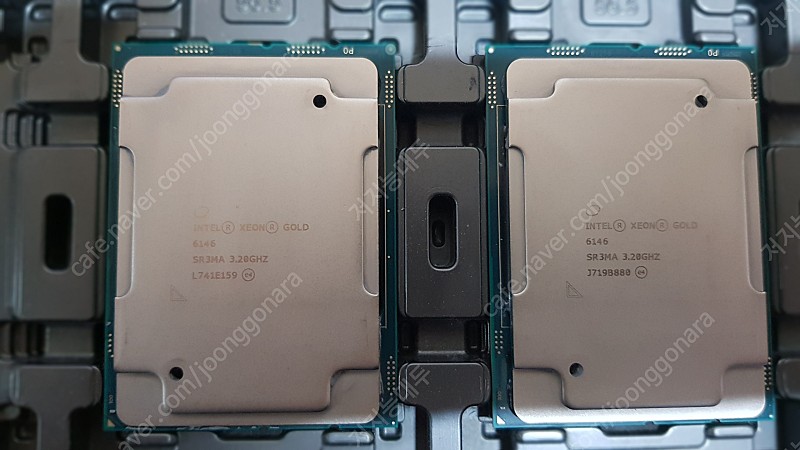 intel Xeon Gold 6146 2개