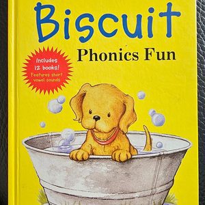 비스킷 파닉스 biscuit phonics fun