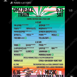 DMZ 피스트레인 토요일 일일권 삽니다