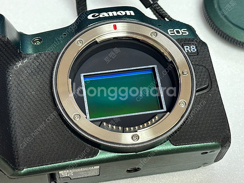 Eos R8 신품급 + RF 24-105 F4L 신품급...--1
