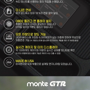 렉서스 IS250 배기 / monte GTR 칩