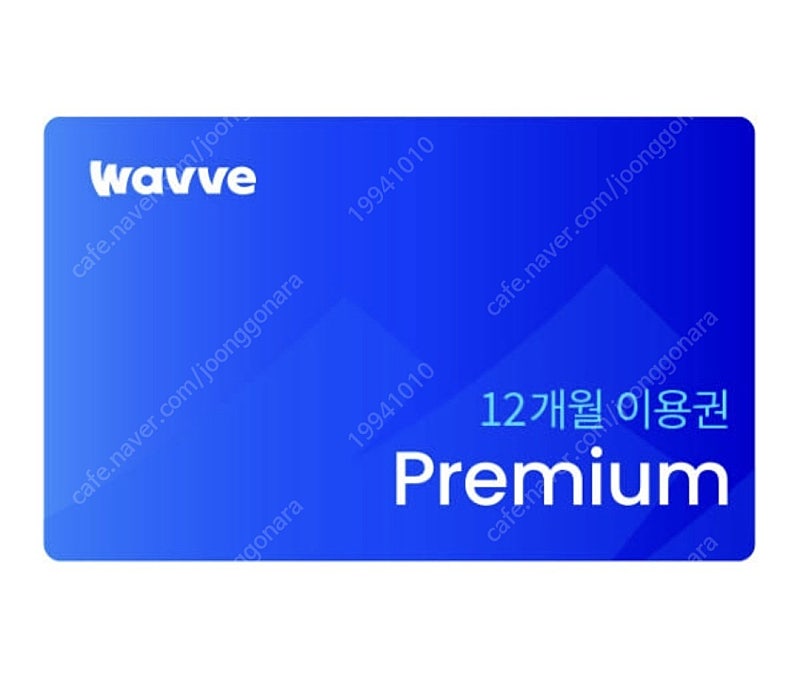 웨이브 WAVVE 12개월 1년 이용권 쿠폰