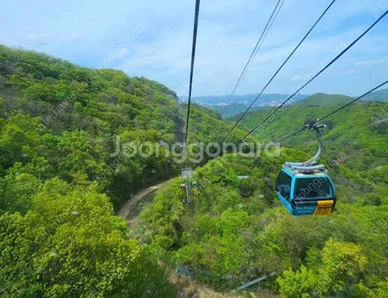 발왕산케이블카--0