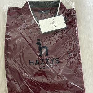 Hazzys 남성용 셔츠