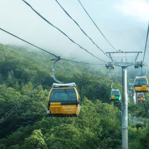 용평리조트 발왕산케이블카