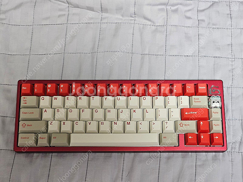 TGR x GSK 레드--0