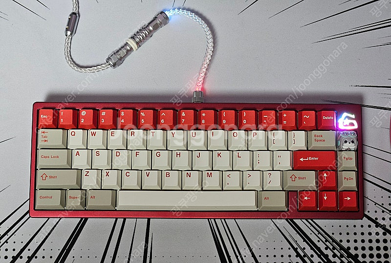 TGR x GSK 레드--4