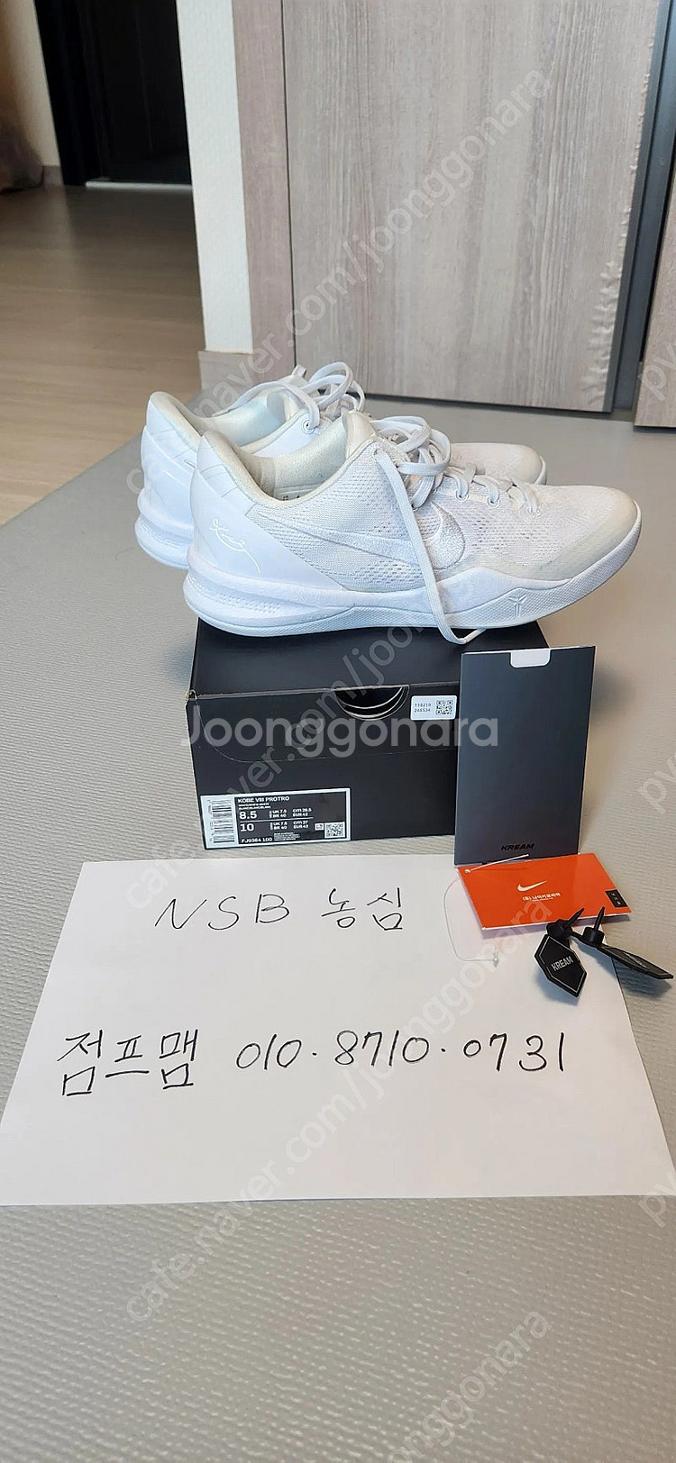 코비8 헤일로(265)--0