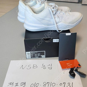 코비8 헤일로(265)