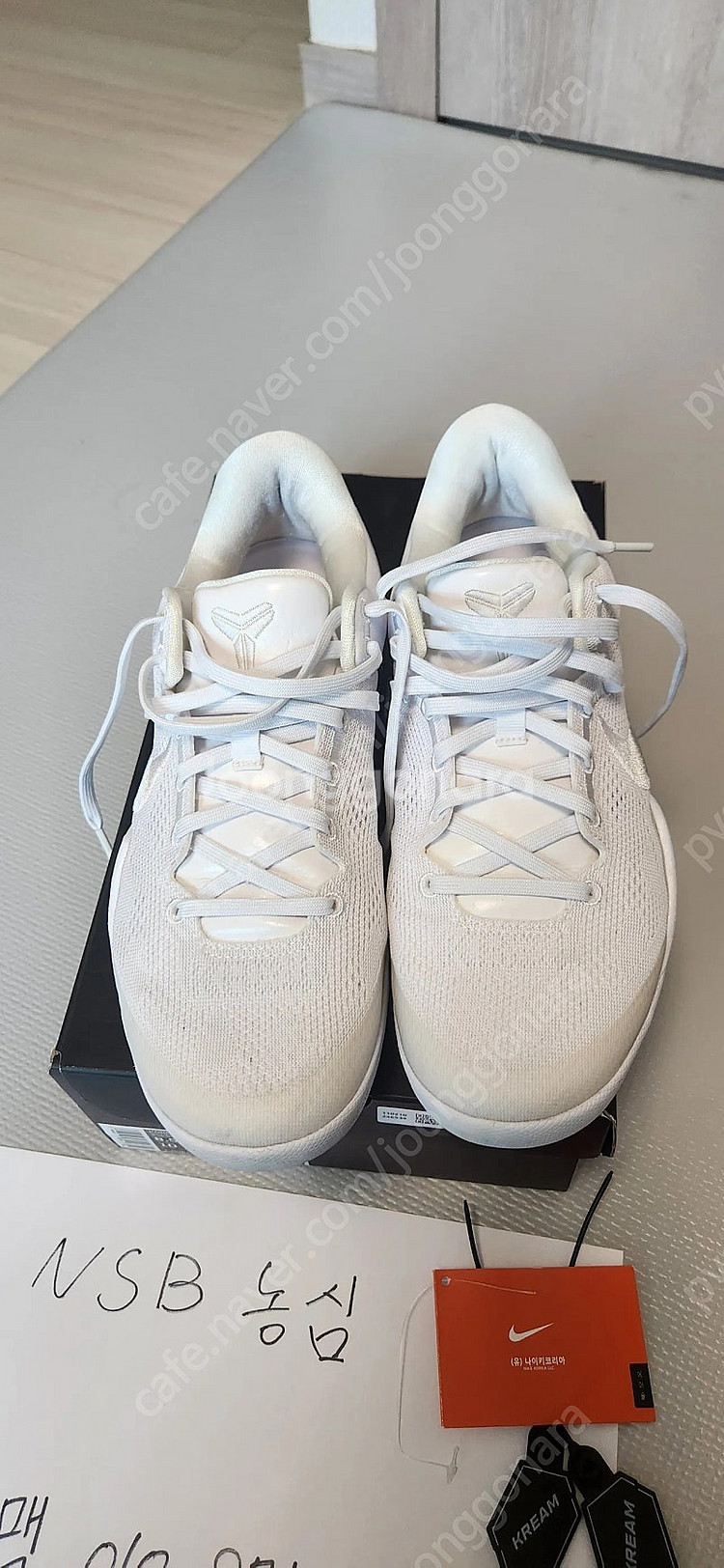 코비8 헤일로(265)--1