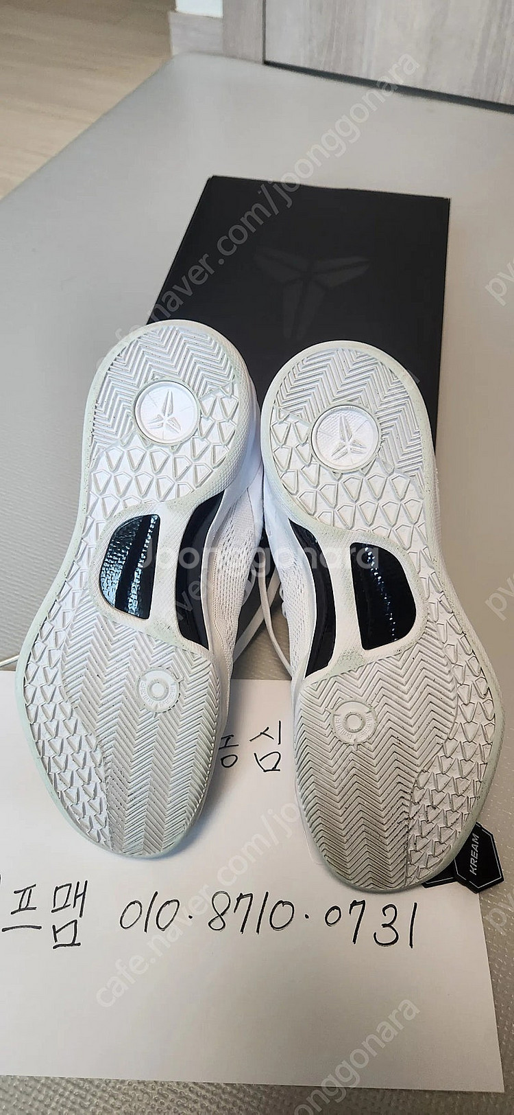 코비8 헤일로(265)--4