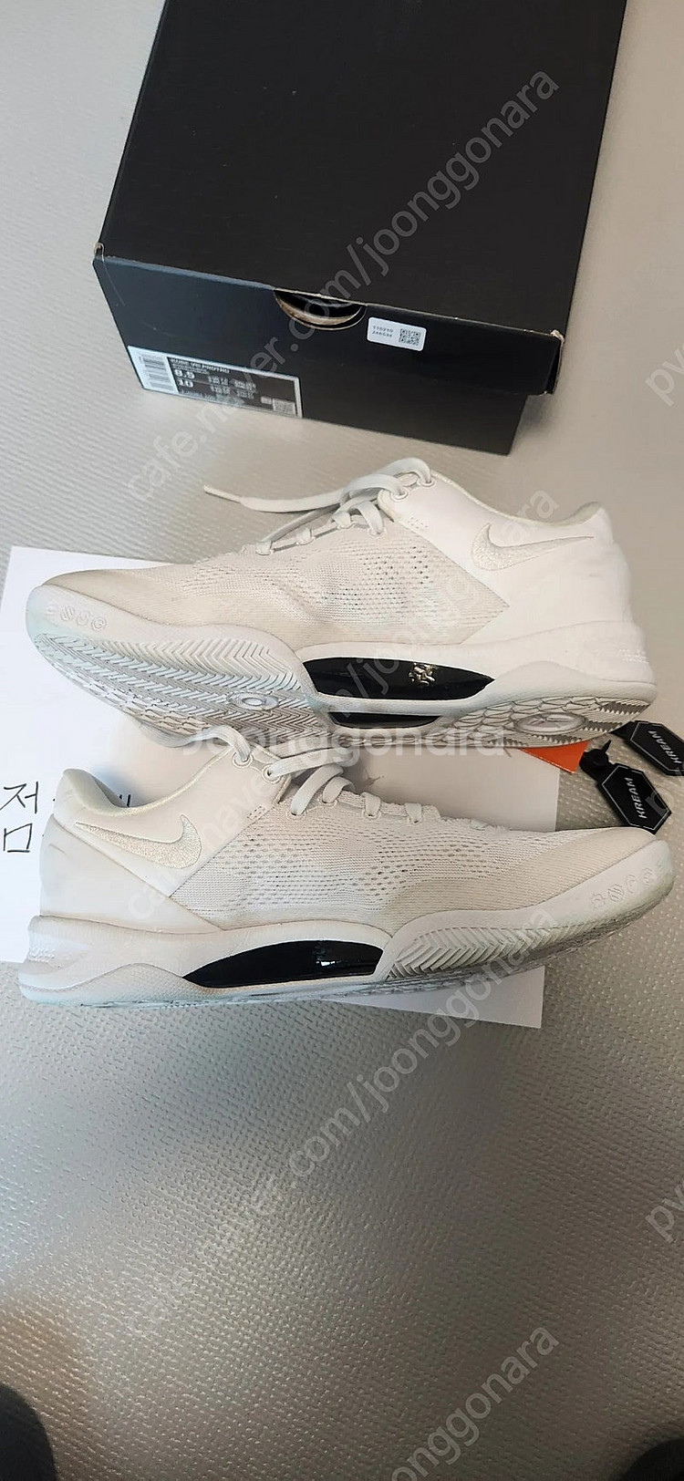 코비8 헤일로(265)--6