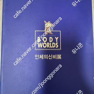 인체의신비 한글 body worlds(2만)