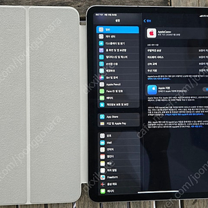 아이패드 프로 11 4세대(m2) 셀룰러 256/애플케어/애플펜슬