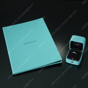 TIFFANY&CO 티파니앤코 0.31CT 다이아몬드 링 #8