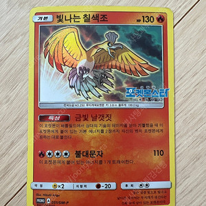 빛나는칠색조