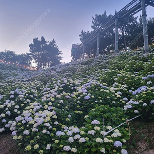 최강야구 사직 2연석 구합니다.