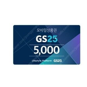 gs25 지에스25 5000원