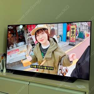 LG OLED TV 48인치