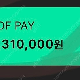 LDF PAY 페이 131 ->118 10% 할인 판매합니다.