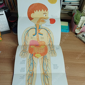 두산동아 자연관찰전집 60권 택포 상태 굿