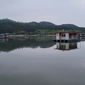 극강후레쉬 28, 38 구합니다