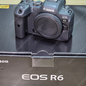 캐논 eos r6