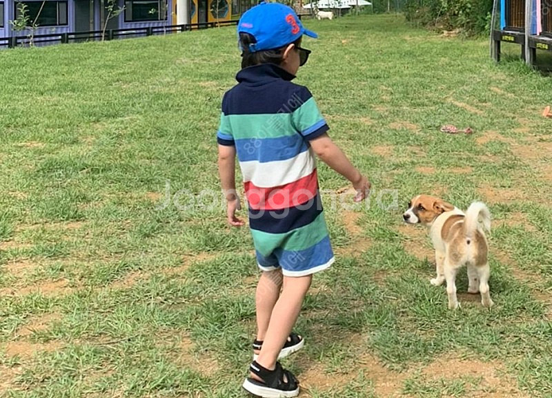 (새상품)폴로 랄프로렌 베이비 쇼트올 롬퍼 바디수트24...--6