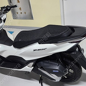 PCX125 ABS 2023년식 미주행신차 판매합니다