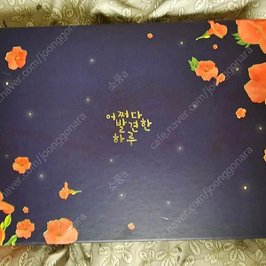 (김혜윤 로운) 어쩌다 발견한 하루 블루레이 판매