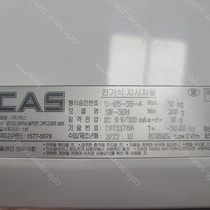 CAS 카스 SW-1S 30KG(10g단위) 주방저울