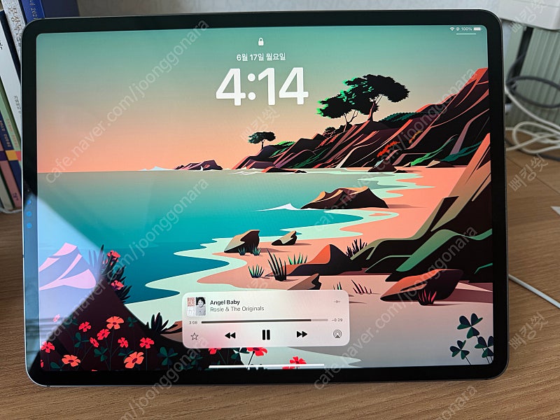 아이패드 프로 4세대 128gb 셀룰러