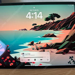 아이패드 프로 4세대 128gb 셀룰러
