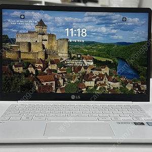 [LG]2019 그램 14Z990-GX50K i5/16GB/256GB