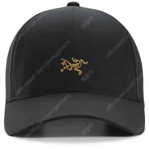 아크테릭스 24K 스몰 버드 캡 ( arcteryx - small bird cap )