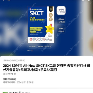 skct sk그룹 인적성 24년도 최신판(역량검사)