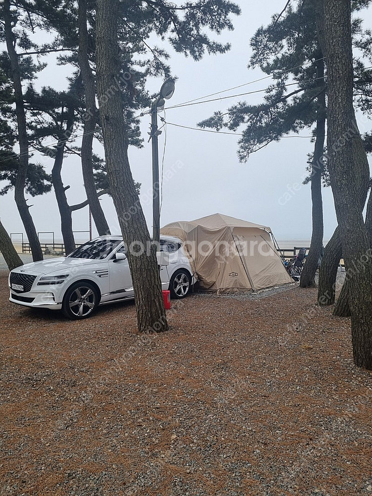 제드 슈퍼오토팔레트 차박텐트--0