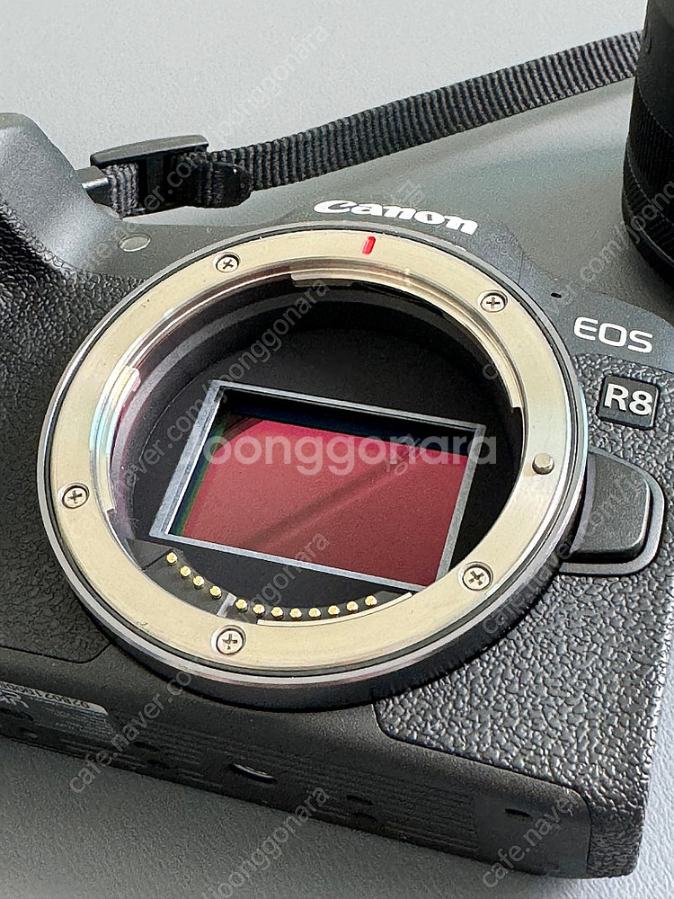 캐논 R8 + RF35, 85--2