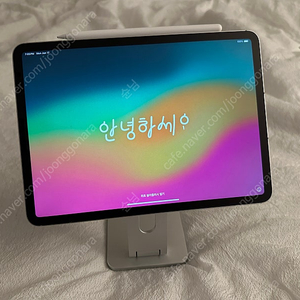 Apple 아이패드 프로 11 M2 셀룰러+ 정품 애플펜슬 + 자석거치대 등