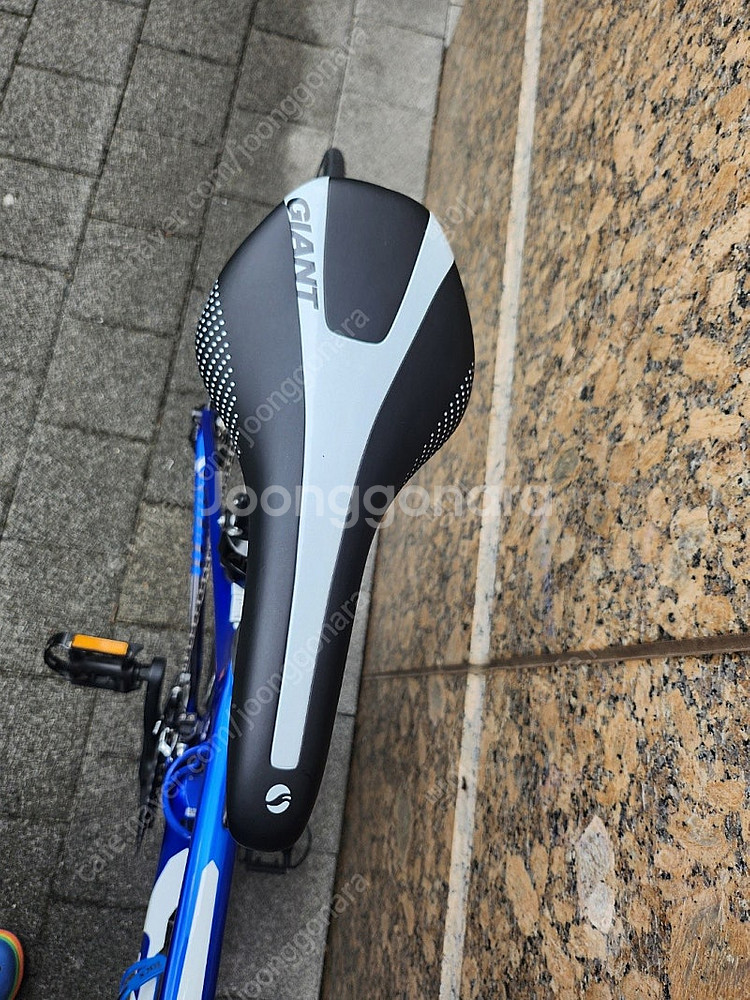 (자전거) 자이언트 TCR 어드밴스2 /블루컬러--2