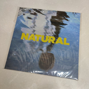 지소울 (GSoul) - Natural (EP) (LP)